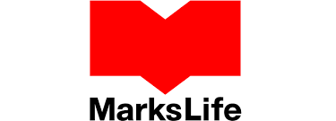 ビジネスソリューション責任者/賞与・在宅勤務・副業可/オフィスカジュアルOK【マークスライフ株式会社/343146】